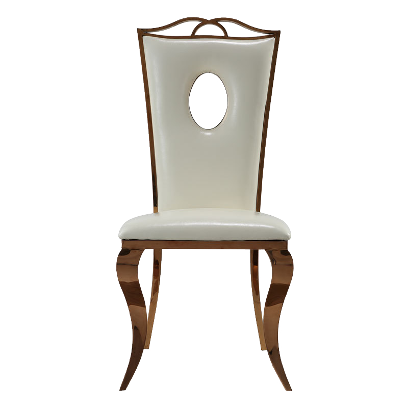 Dining Chair MZ9902
